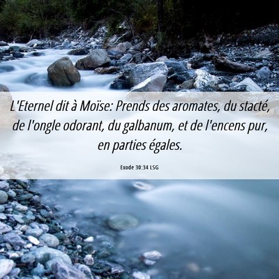 Picture 06 - Exode 30:34 LSG - L'Eternel dit à Moïse: Prends des aromates, du - Bible Verse Picture