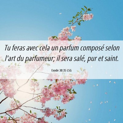 Picture 06 - Exode 30:35 LSG - Tu feras avec cela un parfum composé selon l'art - Bible Verse Picture
