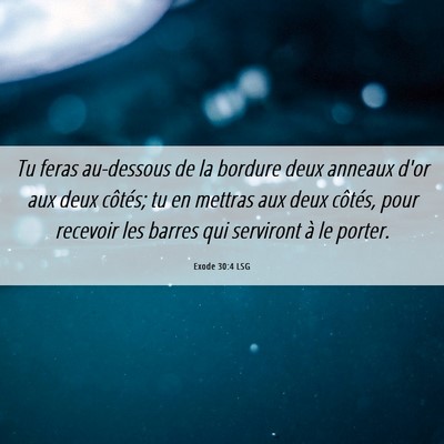 Picture 06 - Exode 30:4 LSG - Tu feras au-dessous de la bordure deux anneaux - Bible Verse Picture