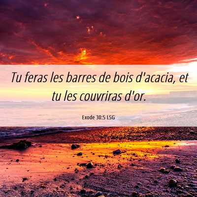 Picture 06 - Exode 30:5 LSG - Tu feras les barres de bois d'acacia, et tu les - Bible Verse Picture