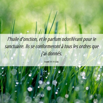 Picture 06 - Exode 31:11 LSG - l'huile d'onction, et le parfum odoriférant pour - Bible Verse Picture