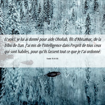 Picture 06 - Exode 31:6 LSG - Et voici, je lui ai donné pour aide Oholiab, - Bible Verse Picture
