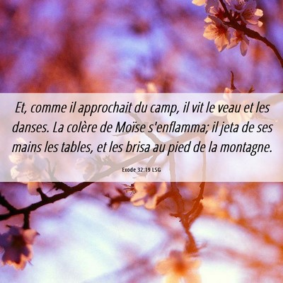 Picture 06 - Exode 32:19 LSG - Et, comme il approchait du camp, il vit le veau - Bible Verse Picture