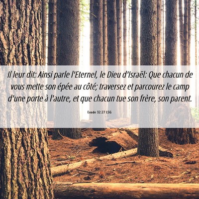 Picture 06 - Exode 32:27 LSG - Il leur dit: Ainsi parle l'Eternel, le Dieu - Bible Verse Picture