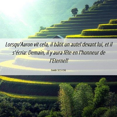 Picture 06 - Exode 32:5 LSG - Lorsqu'Aaron vit cela, il bâtit un autel devant - Bible Verse Picture