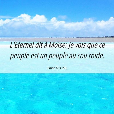 Picture 06 - Exode 32:9 LSG - L'Eternel dit à Moïse: Je vois que ce peuple - Bible Verse Picture