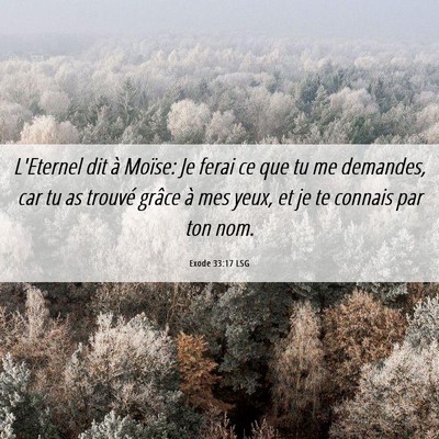 Picture 06 - Exode 33:17 LSG - L'Eternel dit à Moïse: Je ferai ce que tu me - Bible Verse Picture