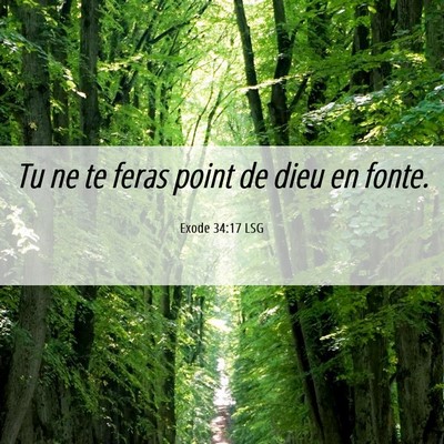 Picture 06 - Exode 34:17 LSG - Tu ne te feras point de dieu en - Bible Verse Picture