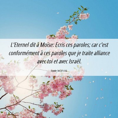 Picture 06 - Exode 34:27 LSG - L'Eternel dit à Moïse: Ecris ces paroles; car - Bible Verse Picture