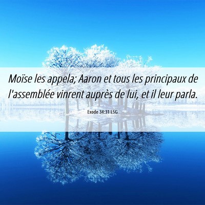 Picture 06 - Exode 34:31 LSG - Moïse les appela; Aaron et tous les principaux - Bible Verse Picture