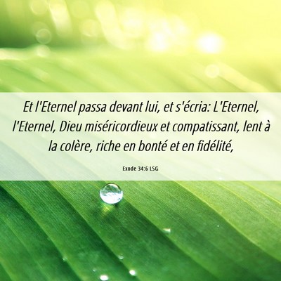 Picture 06 - Exode 34:6 LSG - Et l'Eternel passa devant lui, et s'écria: - Bible Verse Picture