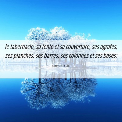Picture 06 - Exode 35:11 LSG - le tabernacle, sa tente et sa couverture, ses - Bible Verse Picture