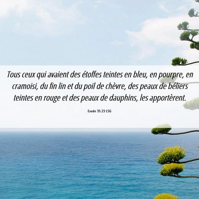 Picture 06 - Exode 35:23 LSG - Tous ceux qui avaient des étoffes teintes en - Bible Verse Picture