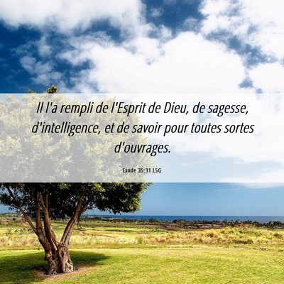 Picture 06 - Exode 35:31 LSG - Il l'a rempli de l'Esprit de Dieu, de sagesse, - Bible Verse Picture