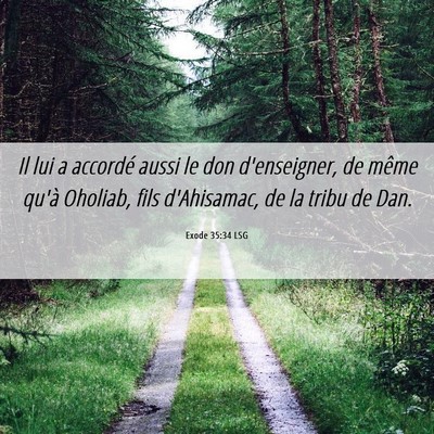 Picture 06 - Exode 35:34 LSG - Il lui a accordé aussi le don d'enseigner, de - Bible Verse Picture