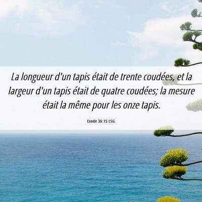 Picture 06 - Exode 36:15 LSG - La longueur d'un tapis était de trente coudées, - Bible Verse Picture