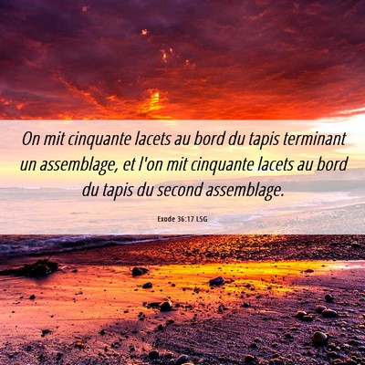 Picture 06 - Exode 36:17 LSG - On mit cinquante lacets au bord du tapis - Bible Verse Picture