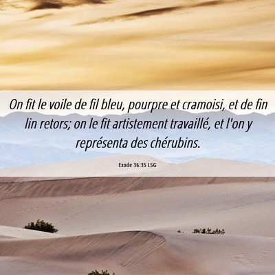 Picture 06 - Exode 36:35 LSG - On fit le voile de fil bleu, pourpre et cramoisi, - Bible Verse Picture