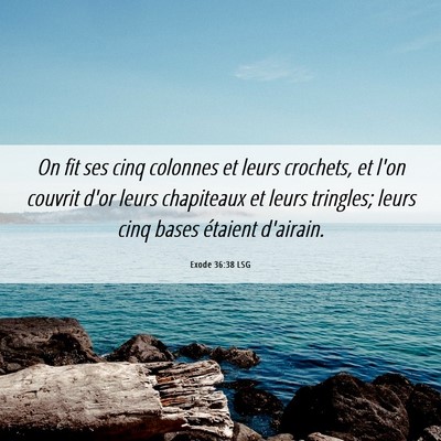 Picture 06 - Exode 36:38 LSG - On fit ses cinq colonnes et leurs crochets, et - Bible Verse Picture