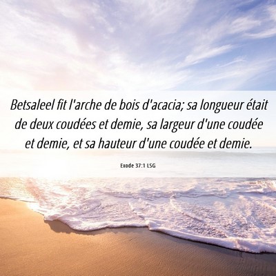 Picture 06 - Exode 37:1 LSG - Betsaleel fit l'arche de bois d'acacia; sa - Bible Verse Picture