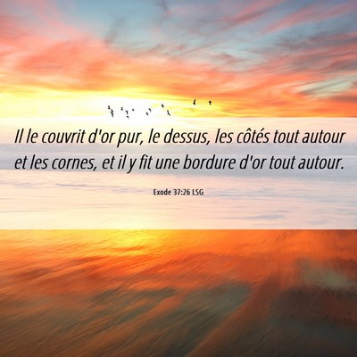 Picture 06 - Exode 37:26 LSG - Il le couvrit d'or pur, le dessus, les côtés - Bible Verse Picture