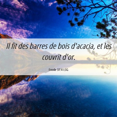 Picture 06 - Exode 37:4 LSG - Il fit des barres de bois d'acacia, et les - Bible Verse Picture