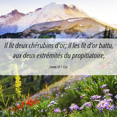 Picture 06 - Exode 37:7 LSG - Il fit deux chérubins d'or; il les fit d'or - Bible Verse Picture