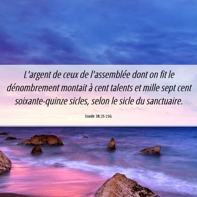 Picture 06 - Exode 38:25 LSG - L'argent de ceux de l'assemblée dont on fit le - Bible Verse Picture