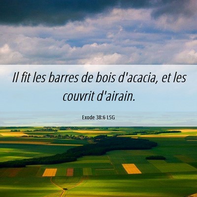 Picture 06 - Exode 38:6 LSG - Il fit les barres de bois d'acacia, et les - Bible Verse Picture