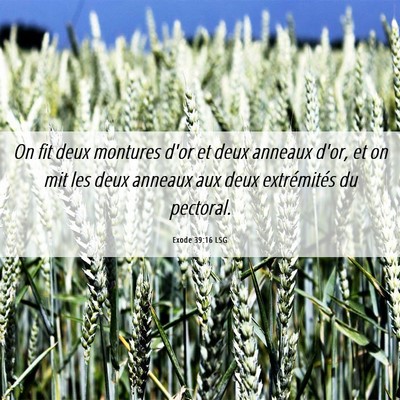 Picture 06 - Exode 39:16 LSG - On fit deux montures d'or et deux anneaux d'or, - Bible Verse Picture