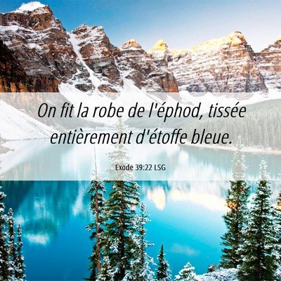 Picture 06 - Exode 39:22 LSG - On fit la robe de l'éphod, tissée entièrement - Bible Verse Picture