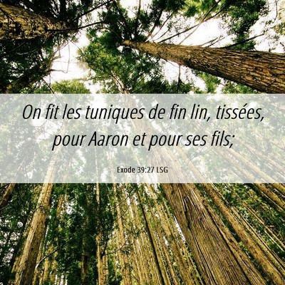 Picture 06 - Exode 39:27 LSG - On fit les tuniques de fin lin, tissées, pour - Bible Verse Picture