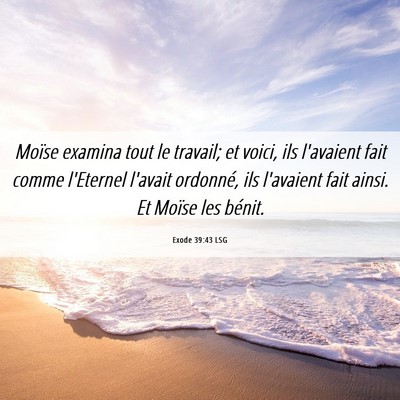 Picture 06 - Exode 39:43 LSG - Moïse examina tout le travail; et voici, ils - Bible Verse Picture