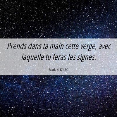 Picture 06 - Exode 4:17 LSG - Prends dans ta main cette verge, avec laquelle tu - Bible Verse Picture