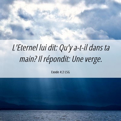 Picture 06 - Exode 4:2 LSG - L'Eternel lui dit: Qu'y a-t-il dans ta main? Il - Bible Verse Picture