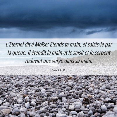 Picture 06 - Exode 4:4 LSG - L'Eternel dit à Moïse: Etends ta main, et - Bible Verse Picture
