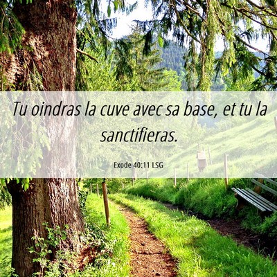Picture 06 - Exode 40:11 LSG - Tu oindras la cuve avec sa base, et tu la - Bible Verse Picture