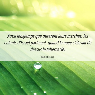 Picture 06 - Exode 40:36 LSG - Aussi longtemps que durèrent leurs marches, les - Bible Verse Picture