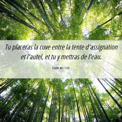 Picture 06 - Exode 40:7 LSG - Tu placeras la cuve entre la tente d'assignation - Bible Verse Picture