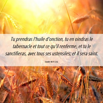 Picture 06 - Exode 40:9 LSG - Tu prendras l'huile d'onction, tu en oindras le - Bible Verse Picture