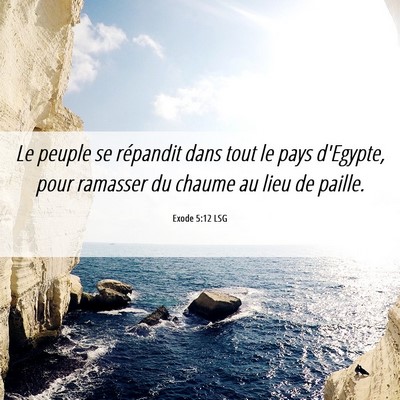 Picture 06 - Exode 5:12 LSG - Le peuple se répandit dans tout le pays - Bible Verse Picture