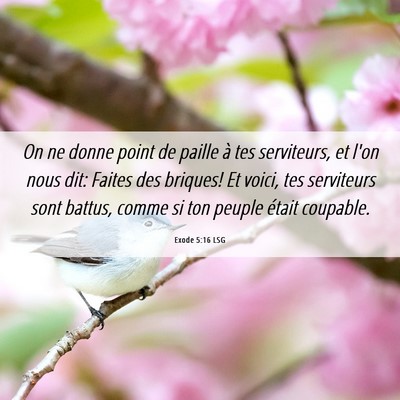 Picture 06 - Exode 5:16 LSG - On ne donne point de paille à tes serviteurs, et - Bible Verse Picture