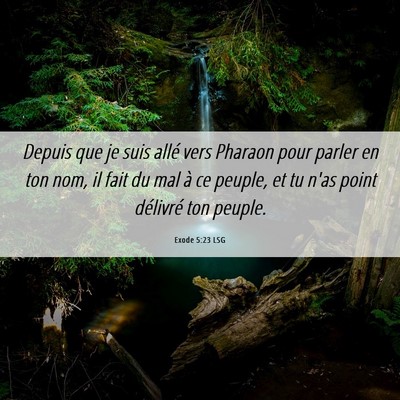 Picture 06 - Exode 5:23 LSG - Depuis que je suis allé vers Pharaon pour parler - Bible Verse Picture