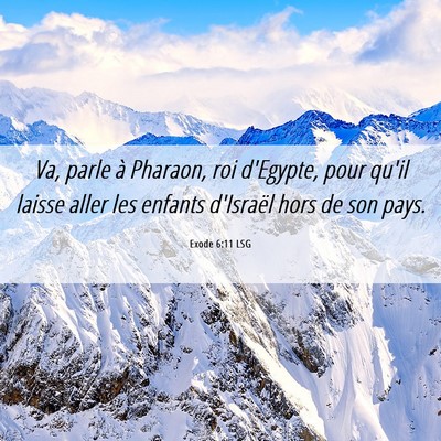 Picture 06 - Exode 6:11 LSG - Va, parle à Pharaon, roi d'Egypte, pour qu'il - Bible Verse Picture