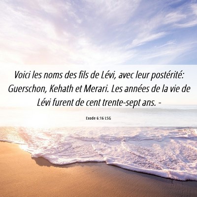 Picture 06 - Exode 6:16 LSG - Voici les noms des fils de Lévi, avec leur - Bible Verse Picture
