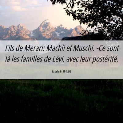 Picture 06 - Exode 6:19 LSG - Fils de Merari: Machli et Muschi. -Ce sont là - Bible Verse Picture