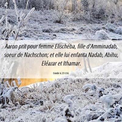 Picture 06 - Exode 6:23 LSG - Aaron prit pour femme Elischéba, fille - Bible Verse Picture
