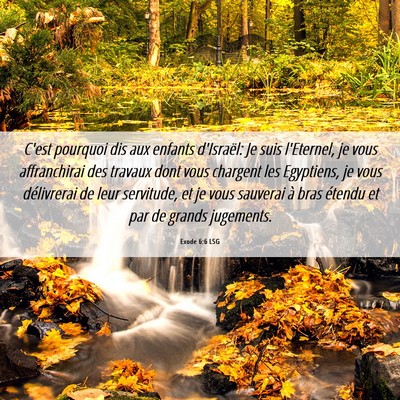 Picture 06 - Exode 6:6 LSG - C'est pourquoi dis aux enfants d'Israël: Je suis - Bible Verse Picture