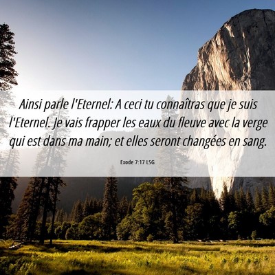 Picture 06 - Exode 7:17 LSG - Ainsi parle l'Eternel: A ceci tu connaîtras que - Bible Verse Picture