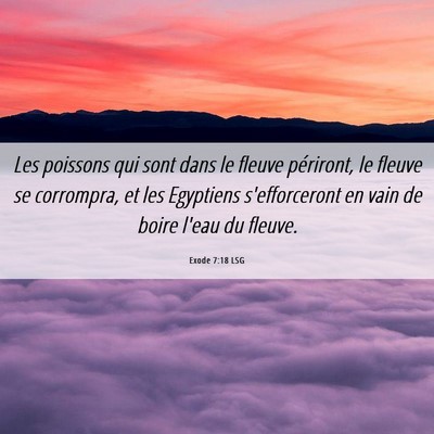 Picture 06 - Exode 7:18 LSG - Les poissons qui sont dans le fleuve périront, - Bible Verse Picture